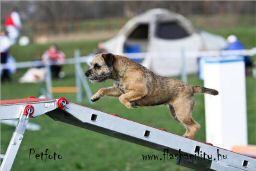 brida agility 16.jpg